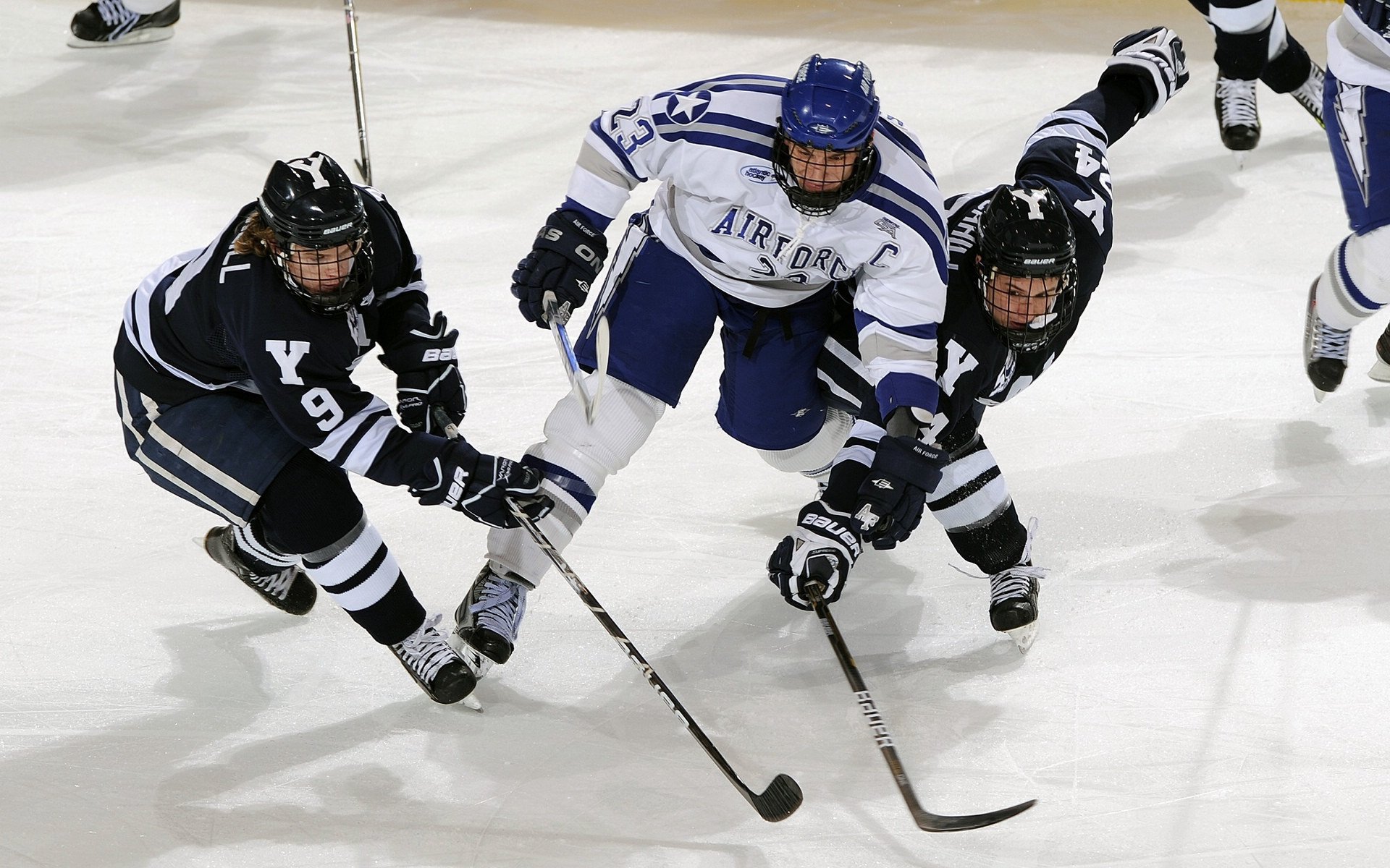 “血与汗的较量，拳击赛四川省体育馆见真章”